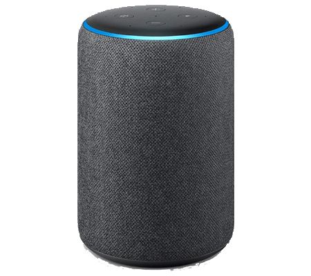 voice marketing